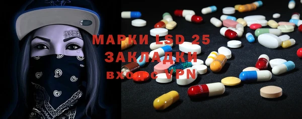 индика Аркадак