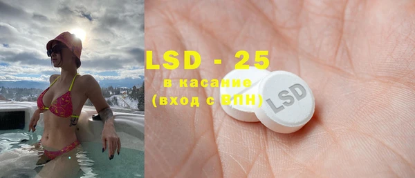 индика Аркадак