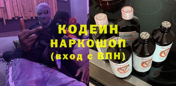 индика Аркадак